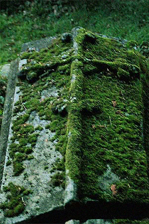 ledger with moss covered cross